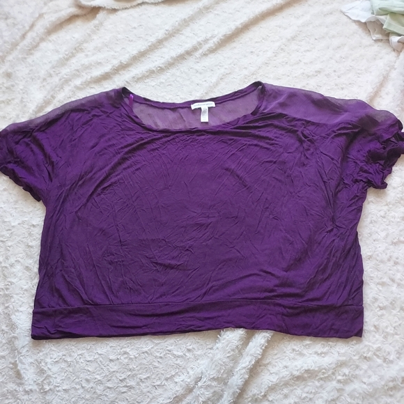 Ambiance Tops - Ambiance Apparel Purple Rayon Partly Sheer Crop Top 3X Boxy Flirty